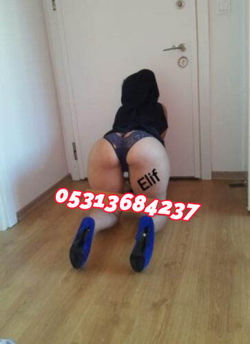 Pendik Balık Etli Escort Bayan Elif - Image 2