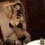 Gebze Tuzla Pendik Escort Bayan Pervin - Image 6